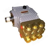 GIANT海水淡化高压泵 P220-3100  P218-3100