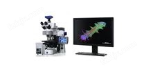 【正置显微镜】研究级生物显微镜 - Axio Imager 2