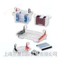 Mini PAGE System垂直电泳||上海旦鼎报价