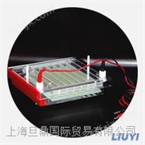 快速凝胶电泳仪DYCP-44P 北京六一电泳仪价格 凝胶电泳仪​